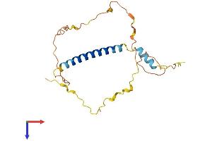 AlphaFold protein structure predicition of Human Recombinant BBC3 Protein, UniprotID Q9BXH1