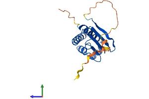 AlphaFold protein structure predicition of Mouse Recombinant Btg1 Protein, UniprotID P62325