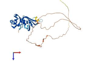 AlphaFold protein structure predicition of Mouse Recombinant Hnrnpa0 Protein, UniprotID Q9CX86