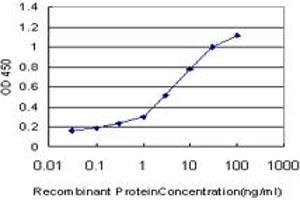 Detection limit for recombinant GST tagged NFYB is approximately 0.