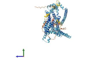 AlphaFold protein structure predicition of Mouse Recombinant Tmc8 Protein, UniprotID Q7TN58