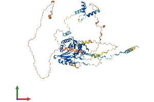 AlphaFold protein structure predicition of Human Recombinant RSPH6A Protein, UniprotID Q9H0K4