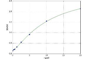D-Aspartate Oxidase (DDO) ELISA Kit