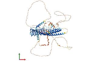 AlphaFold protein structure predicition of Mouse Recombinant Jph2 Protein, UniprotID Q9ET78