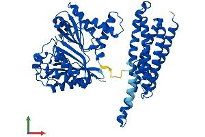 AlphaFold protein structure predicition of Human Recombinant FTCD Protein, UniprotID O95954