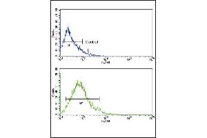 Flow cytometric analysis of HL-60 cells using GLUT2 (SLC2A2) Antibody (bottom histogram) compared to a negative control cell (top histogram). (SLC2A2 anticorps  (N-Term))