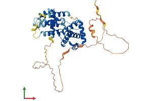 AlphaFold protein structure predicition of Human Recombinant CCNI Protein, UniprotID Q14094