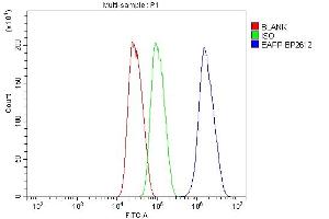 Flow Cytometry analysis of HepG2 cells using anti-EAPP antibody (ABIN7599214). (EAPP anticorps  (AA 1-285))
