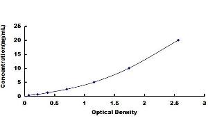 Neuritin 1 (NRN1) ELISA Kit