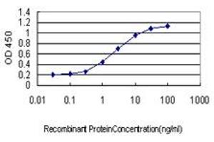 Detection limit for recombinant GST tagged TNP1 is approximately 0.