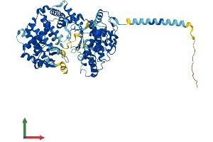 AlphaFold protein structure predicition of Mouse Recombinant Kel Protein, UniprotID Q9EQF2