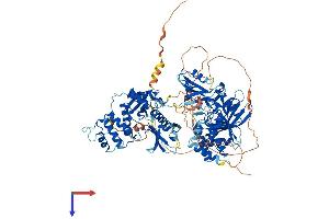 AlphaFold protein structure predicition of Human Recombinant PTPN4 Protein, UniprotID P29074
