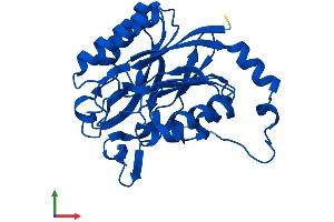 AlphaFold protein structure predicition of Human Recombinant NIT2 Protein, UniprotID Q9NQR4