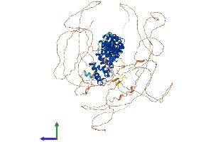 AlphaFold protein structure predicition of Mouse Recombinant Pum2 Protein, UniprotID Q80U58