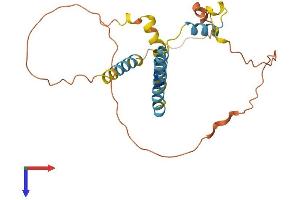 AlphaFold protein structure predicition of Mouse Recombinant Eid2 Protein, UniprotID Q6X7S9