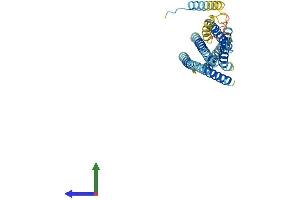 AlphaFold protein structure predicition of Mouse Recombinant Stx16 Protein, UniprotID Q8BVI5