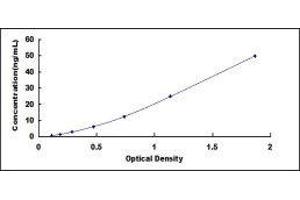 Typical standard curve
