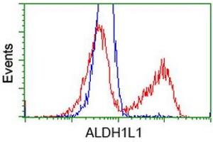 Image no. 3 for anti-Aldehyde Dehydrogenase 1 Family, Member L1 (ALDH1L1) antibody (ABIN1496582) (ALDH1L1 anticorps)