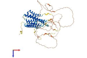 AlphaFold protein structure predicition of Human Recombinant ADGRA1 Protein, UniprotID Q86SQ6