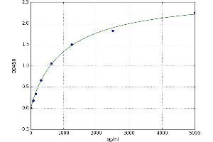 Carnosine Dipeptidase 1 (Metallopeptidase M20 Family) (CNDP1) ELISA Kit