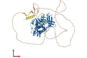 AlphaFold protein structure predicition of Human Recombinant MAP3K3 Protein, UniprotID Q99759