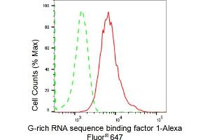 Flow cytometric analysis of G-rich RNA sequence binding factor 1 expression in HepG2 cells using G-rich RNA sequence binding factor 1 antibody (ABIN7798678), 1:2,000). (Recombinant GRSF1 anticorps)