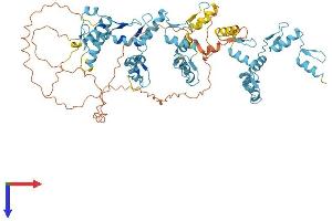 AlphaFold protein structure predicition of Human Recombinant ZNF334 Protein, UniprotID Q9HCZ1