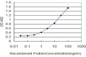 Detection limit for recombinant GST tagged TGIF2 is approximately 0. (TGIF2 anticorps  (AA 131-236))