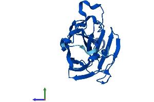 AlphaFold protein structure predicition of Mouse Recombinant D3Ertd751e Protein, UniprotID Q8BGN2