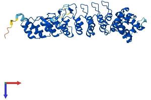 AlphaFold protein structure predicition of Mouse Recombinant Asb4 Protein, UniprotID Q9WV71