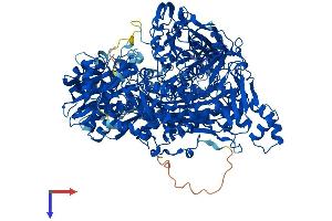 AlphaFold protein structure predicition of Mouse Recombinant Aox3 Protein, UniprotID G3X982