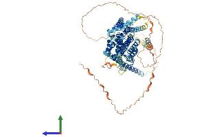 AlphaFold protein structure predicition of Mouse Recombinant Gcfc2 Protein, UniprotID Q8BKT3