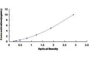 Typical standard curve (ADK Kit ELISA)