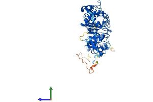 AlphaFold protein structure predicition of Mouse Recombinant Tbcel Protein, UniprotID Q8C5W3