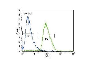 Flow cytometric analysis of HepG2 cells (right histogram) compared to a negative control cell (left histogram). (CACNA2D3 anticorps  (C-Term))