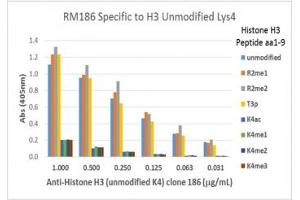 This recombinant Histone H3 antibody specifically recognizes Histone H3 unmodified at Lys4 and does not recognize acetylated, monomethylated, dimethylated, or trimethylated Lys4. (Recombinant Histone 3 anticorps  (Lys4, N-Term))