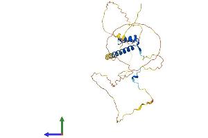 AlphaFold protein structure predicition of Mouse Recombinant Hoxd1 Protein, UniprotID Q01822