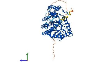 AlphaFold protein structure predicition of Human Recombinant KCNAB1 Protein, UniprotID Q14722