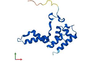 AlphaFold protein structure predicition of Mouse Recombinant Polr2d Protein, UniprotID Q9D7M8