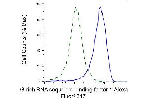 Validation of G-rich RNA sequence binding factor 1 knockdown using flow cytometry. (Recombinant GRSF1 anticorps)