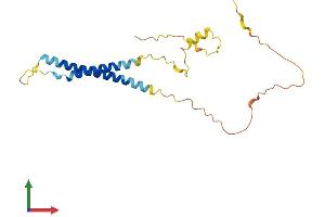 AlphaFold protein structure predicition of Human Recombinant NRSN2 Protein, UniprotID Q9GZP1