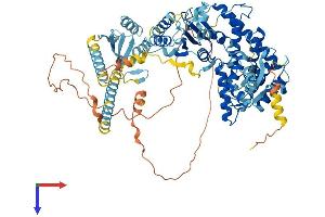 AlphaFold protein structure predicition of Mouse Recombinant Spg7 Protein, UniprotID Q3ULF4