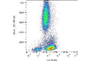 Flow cytometry analysis (surface staining) of human peripheral blood with anti-CD132 (TUGh4) PE. (IL2RG anticorps  (PE))