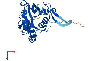 AlphaFold protein structure predicition of Mouse Recombinant Nudt8 Protein, UniprotID Q9CR24