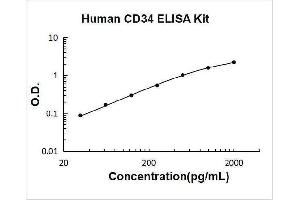 CD34 (CD34) ELISA Kit