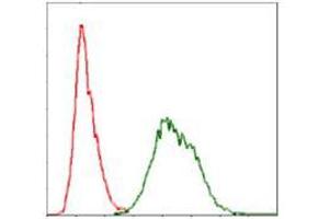 Flow cytometric analysis of Hela cells using UBB mouse mAb (green) and negative control (red).