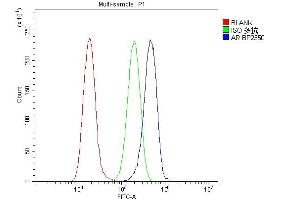 Flow Cytometry analysis of A549 cells using anti-Androgen Receptor/AR antibody (ABIN7602200). (Androgen Receptor anticorps  (AA 629-920))
