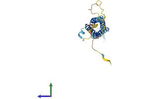 AlphaFold protein structure predicition of Human Recombinant SYNGR2 Protein, UniprotID O43760