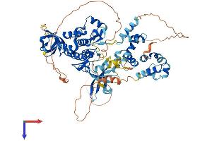 AlphaFold protein structure predicition of Human Recombinant TNK1 Protein, UniprotID Q13470