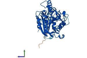 AlphaFold protein structure predicition of Human Recombinant AFMID Protein, UniprotID Q63HM1